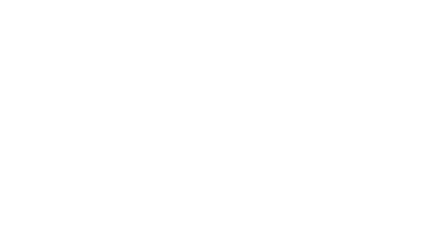 Шариковая втулка LME30UUAJ BallRoll