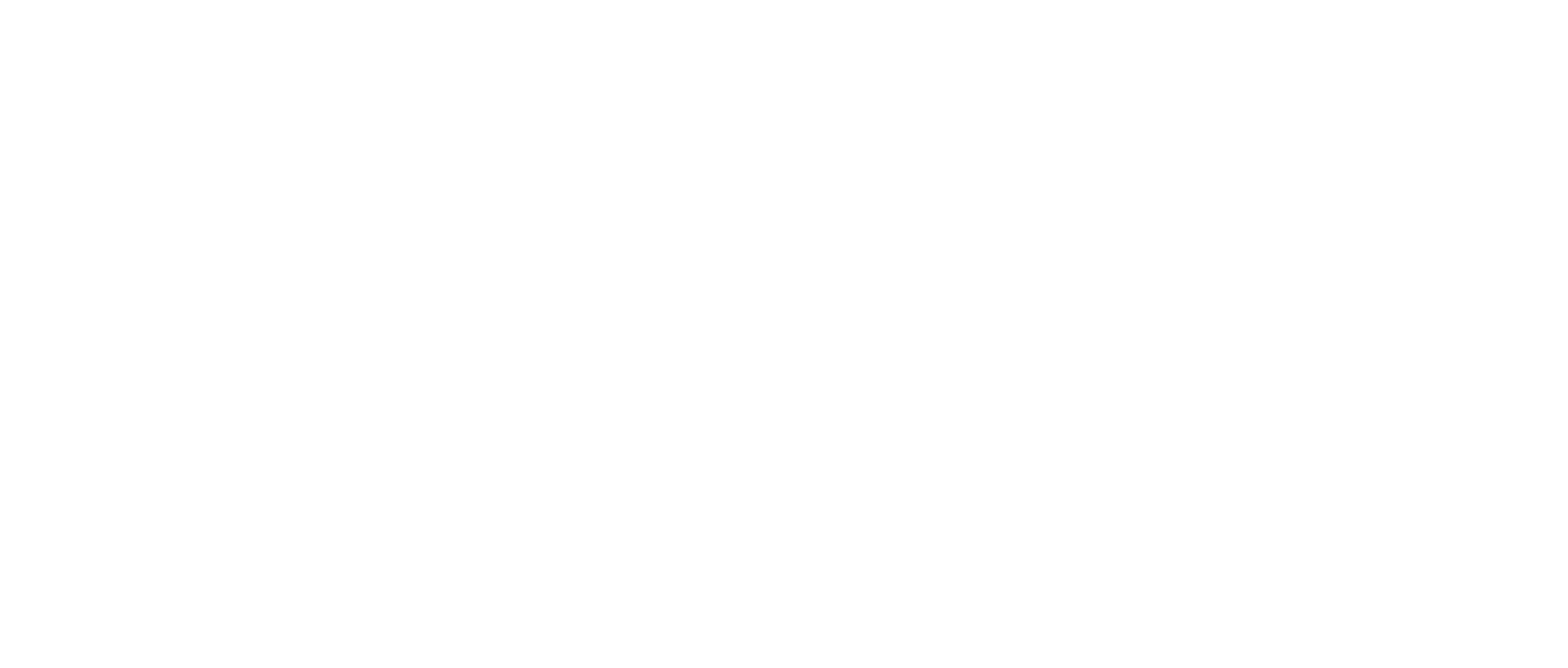 Опора вала SHF10 BallRoll