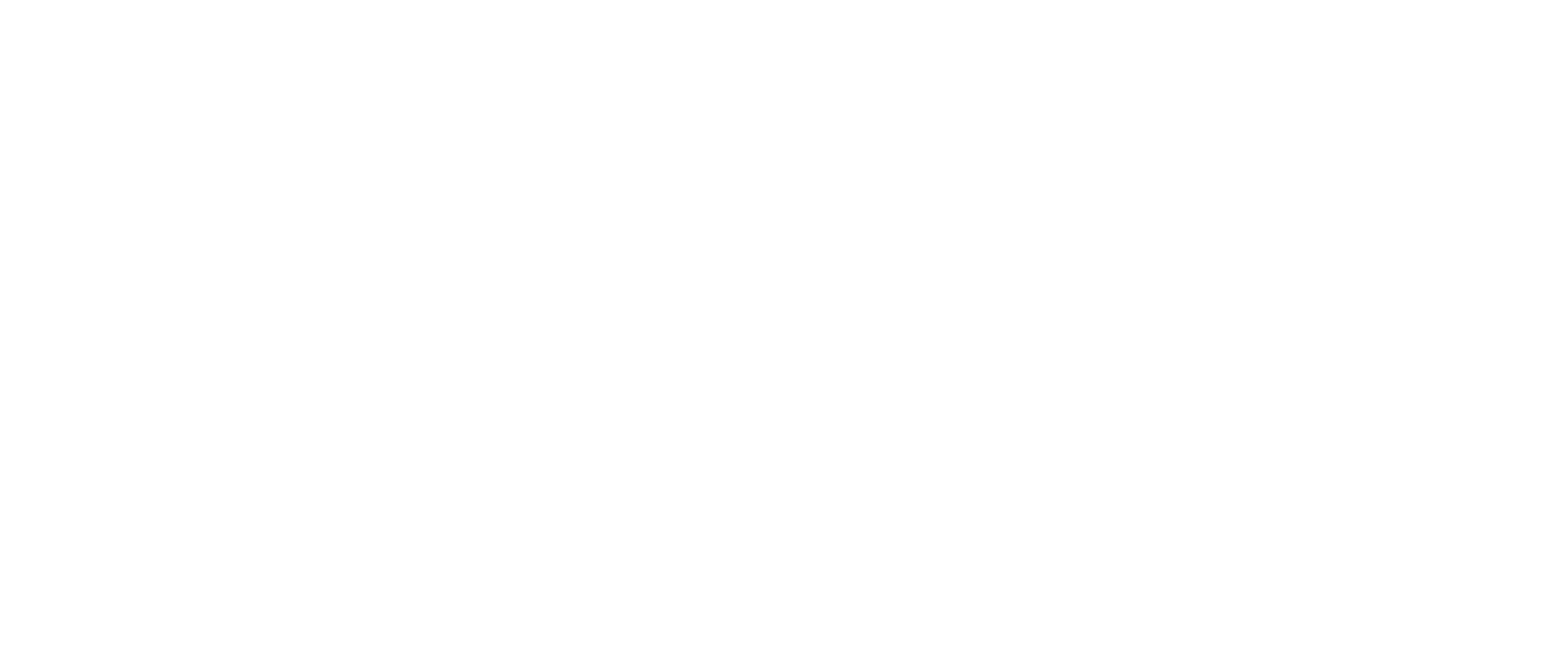 Шариковая направляющая BR-HGR25R4000H BallRoll