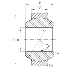 Подшипник GE6-FO INA