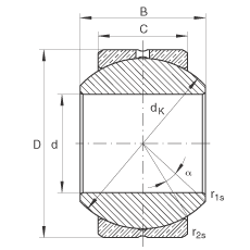 Подшипник GE22-PB INA