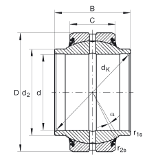 GE35-HO-2RS INA