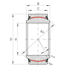 Подшипник GE20-UK-2RS INA