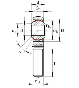 Подшипник GAKR20-PW FAG