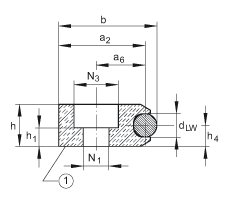 Подшипник LFS32-FH INA