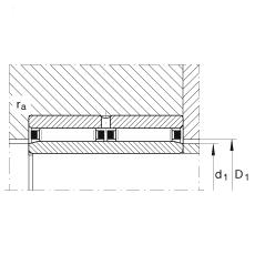 Подшипник NAO25X42X32-ZW-ASR1 INA