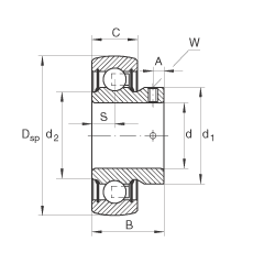 Подшипник AY30-NPP-B INA