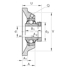 Подшипник RCJ25-N INA