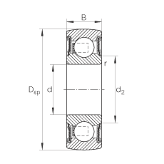 Подшипник 204-NPP-B INA