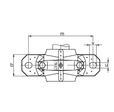Подшипник SNV215-L-21320-E1-K-TVPB-H320X307-DHV620X307 FAG