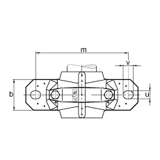 Подшипник SNV052-L-20304-TVP-FSV304 FAG